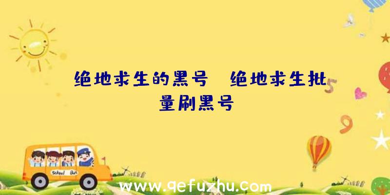 「绝地求生的黑号」|绝地求生批量刷黑号